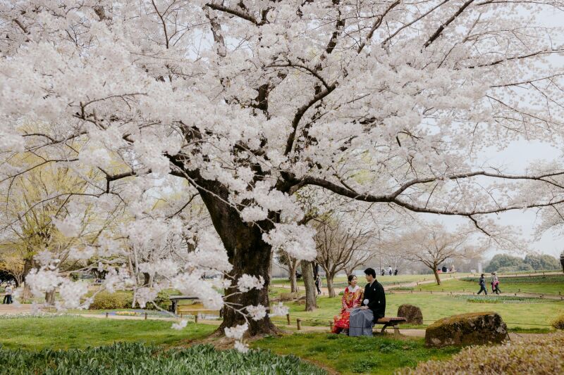 昭和記念公園