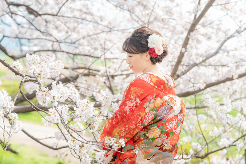 桜に映える!和装のススメ