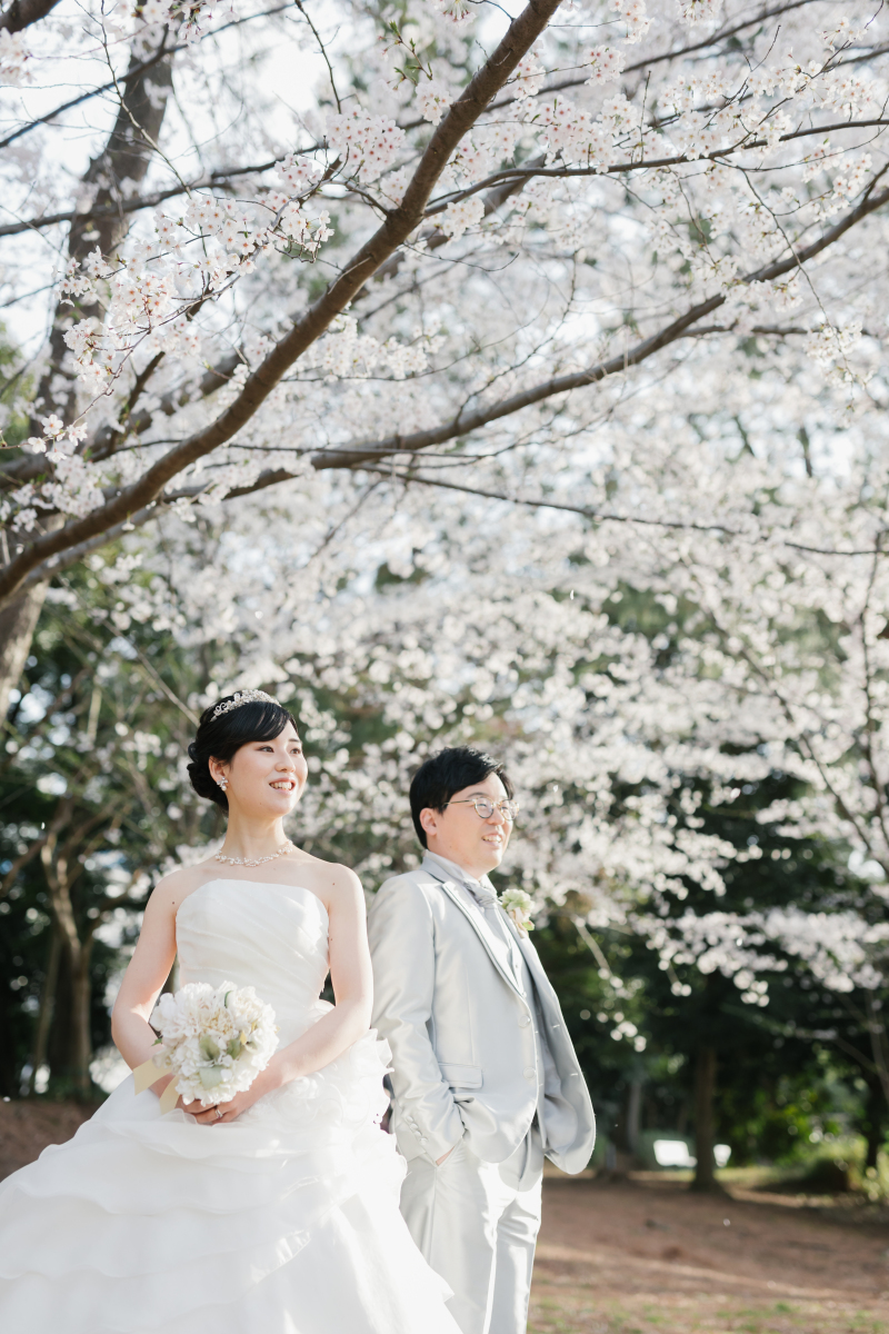 お台場の桜