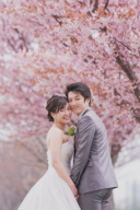 桜&times;和洋セットプラン