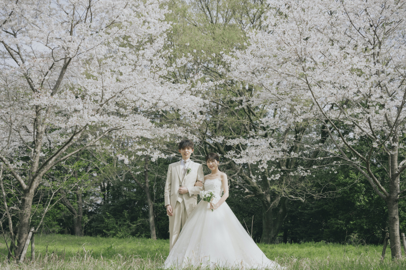 【早割】桜フォトキャンペーン｜期間限定でお得に春の前撮り