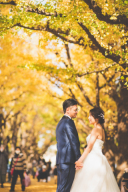 ＼＼紅葉撮影／／ご案内中です！