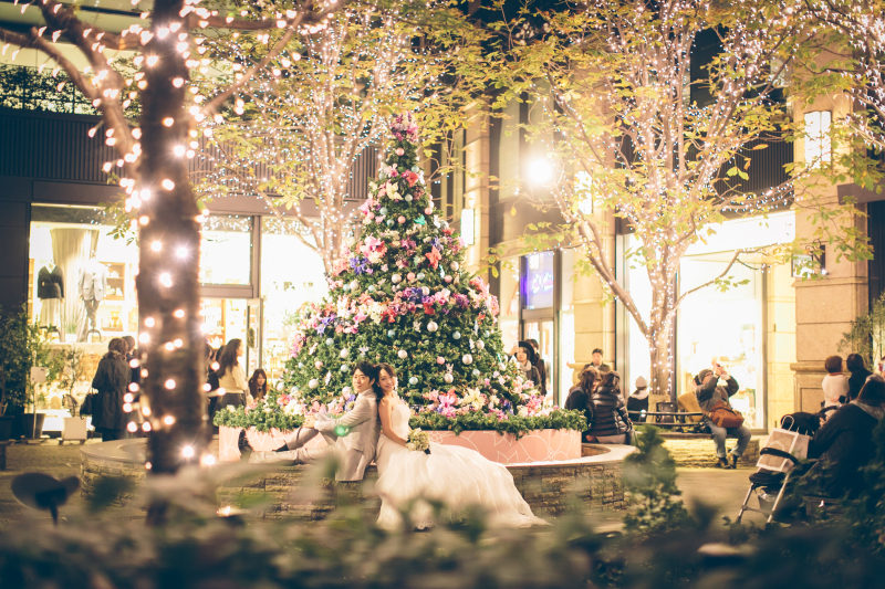 季節によって様々なお写真が残せます!