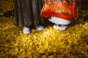 紅葉撮影のご予約はお早めに!