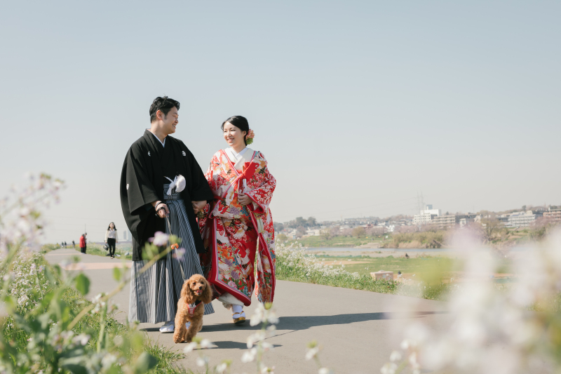 桜撮影、まだご予約可能です!
