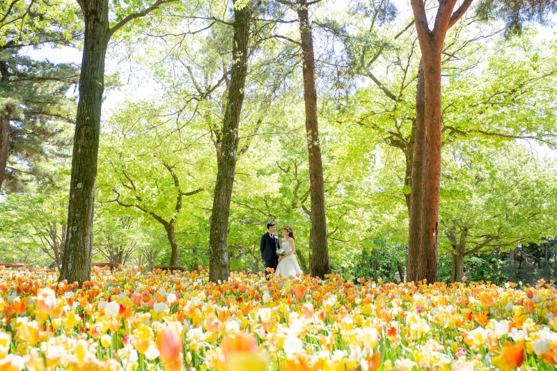 ひたち海浜公園でネモフィラに囲まれて♪