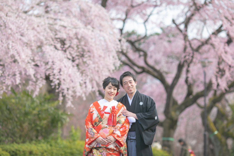 地元仙台での桜フォトウェディング