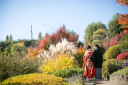 日本庭園で紅葉フォトウェディング