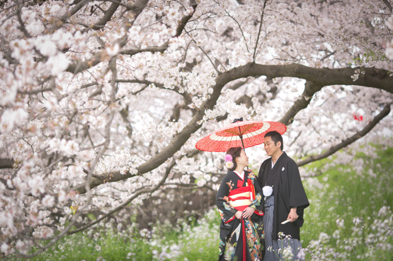 桜フォトウェディング　ご案内スタートしています！