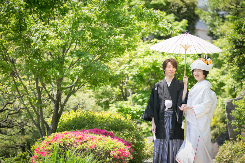 木々が芽吹く季節です♬