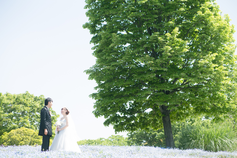 おすすめ撮影スポット☆昭和記念公園☆