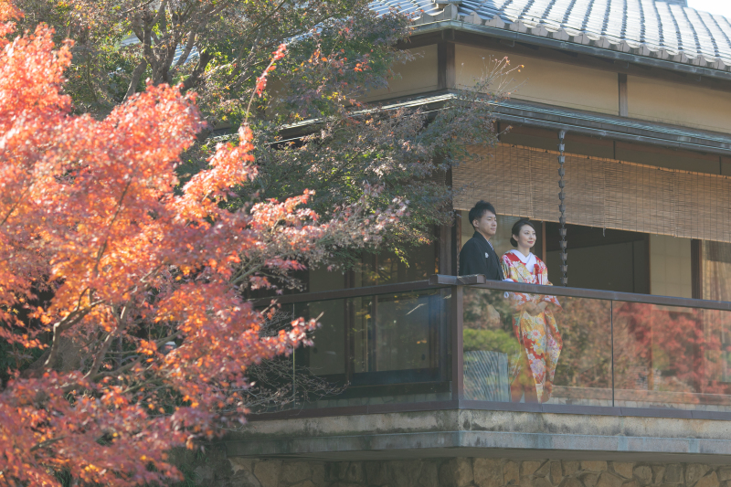 目白庭園×和室
