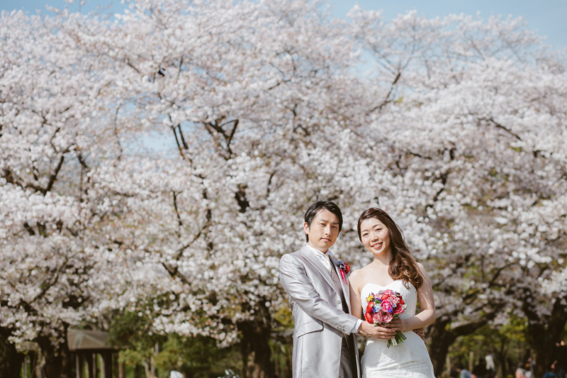 桜サウザン SAKURA THOUSANDS