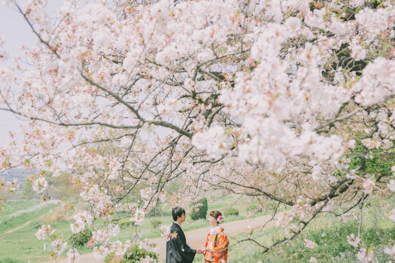 桜サウザンロケーションプラン♡