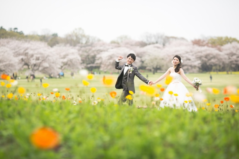 昭和記念公園の春♡