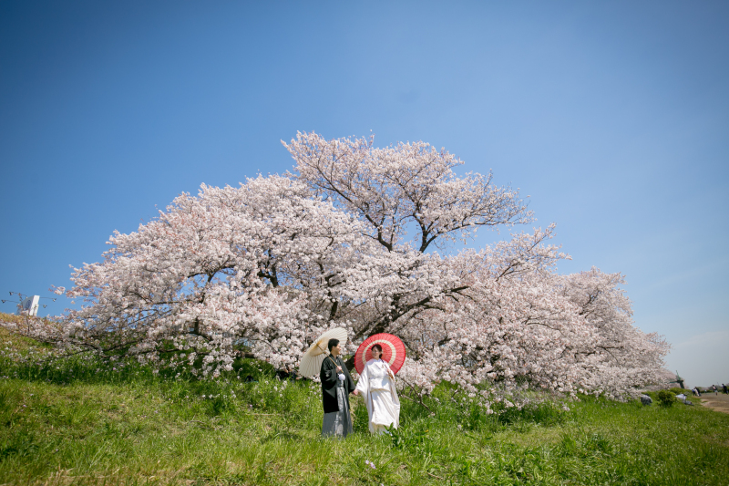 前撮りの予約時期は？　季節の傾向を知っておこう！　