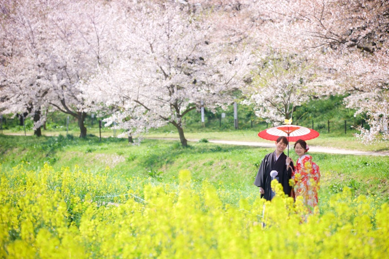 桜と菜の花