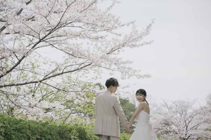 【早割】春フォトキャンペーン｜春のフォトウェディングをお得に