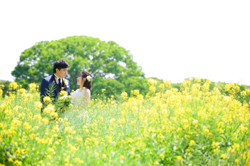 お花畑でフォトウェディング