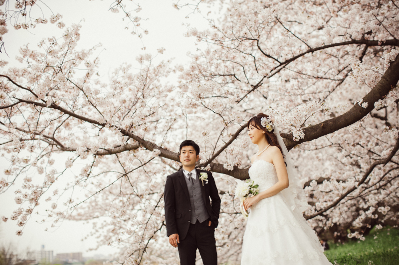 桜フォトウェディング　ご案内スタートしています！