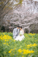 色褪せないお二人の一瞬を☆桜とともに・・・