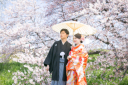 今年の桜は開花が早いみたいです!