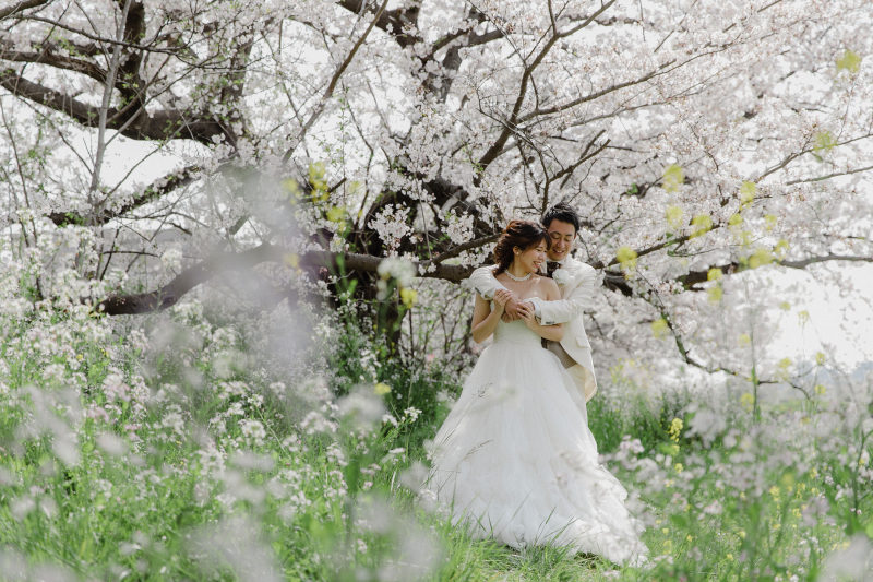 桜×ウェディングフォトは相性ピッタリ!
