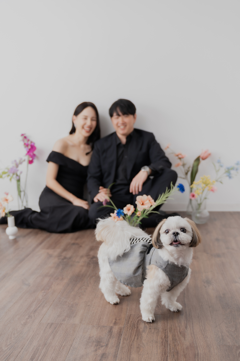 好きな衣装を 好きなだけ。追加料金ゼロで 叶える理想のフォトウェディング♡