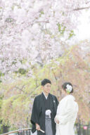  2025桜残りわずか！『桜フォト』