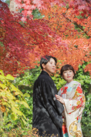 落ち葉の絨毯や紅葉シャワーを使って