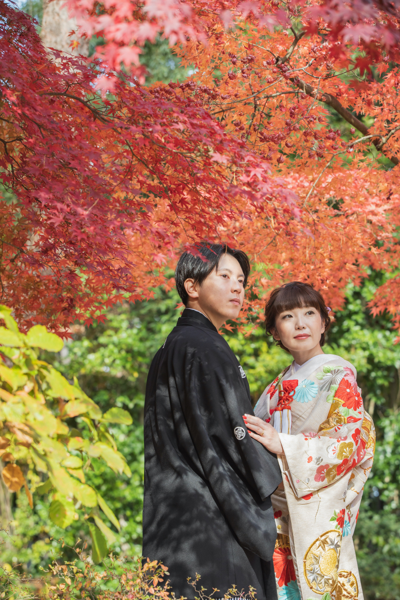 落ち葉の絨毯や紅葉シャワーを使って