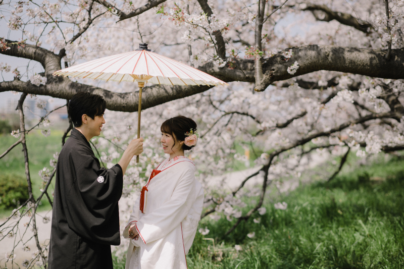 桜の予約始まっています！