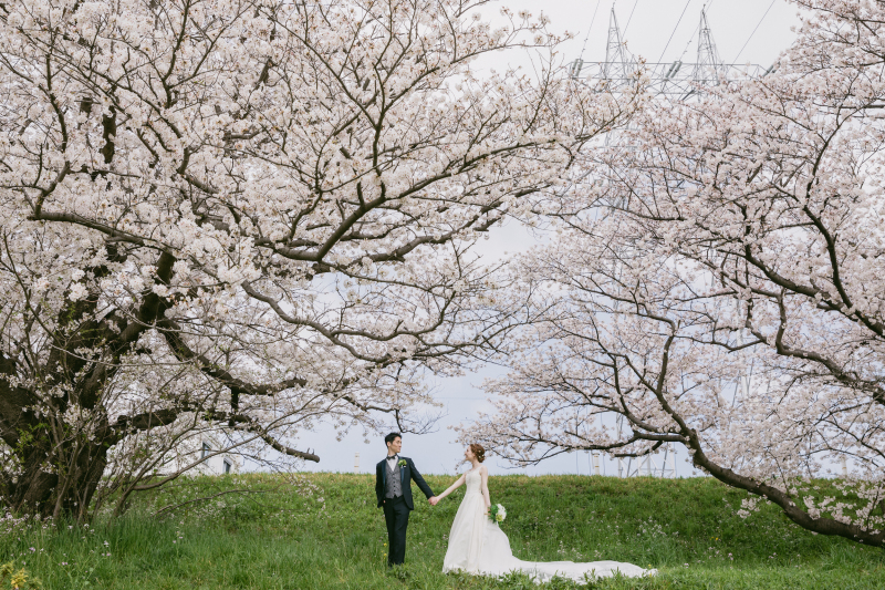 前撮りの予約時期は？　季節の傾向を知っておこう！　