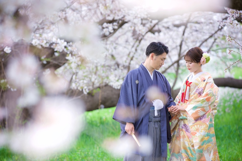 桜撮影、まだご予約可能です!
