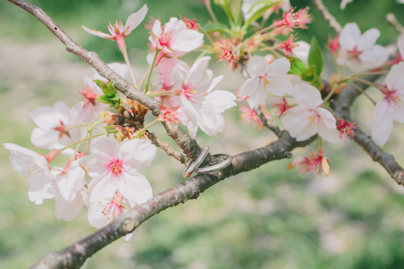 【毎日開催】フォトウェディング相談会！！
