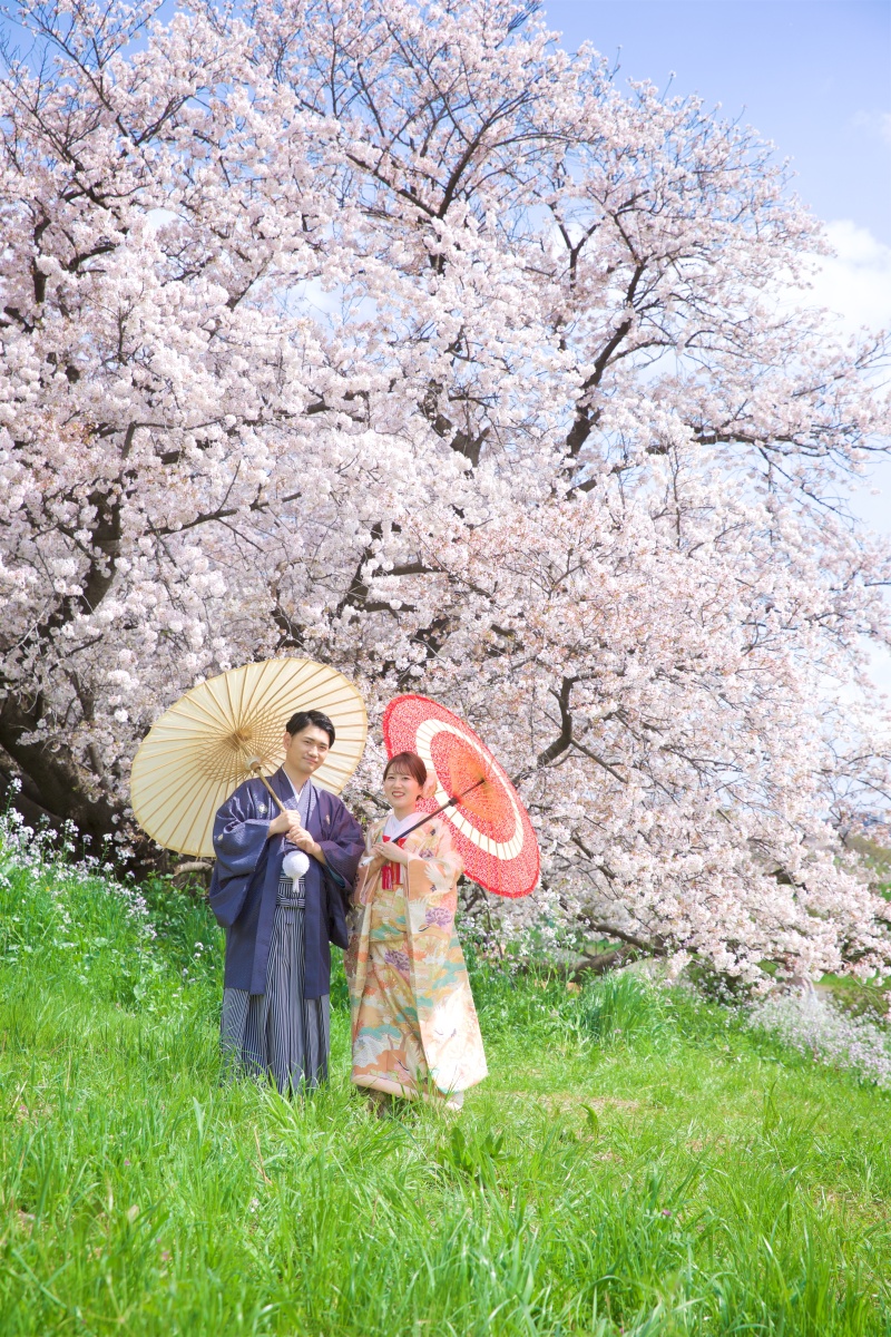 桜撮影、まだご予約可能です!