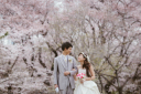 和装も洋装もOK！ 桜&times;ウェディングフォトは相性ピッタリ！
