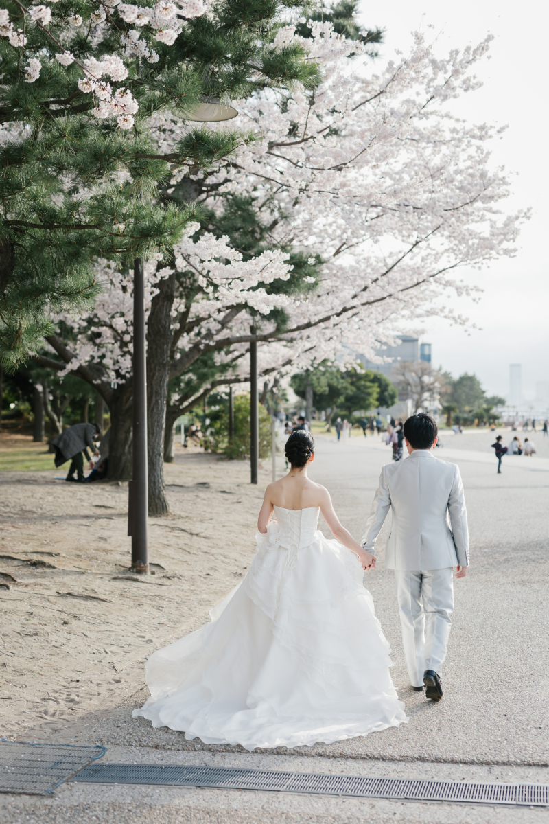 海と桜のコラボレーションが楽しめる「お台場海浜公園」