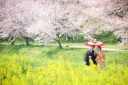 モニタープランのご紹介♪