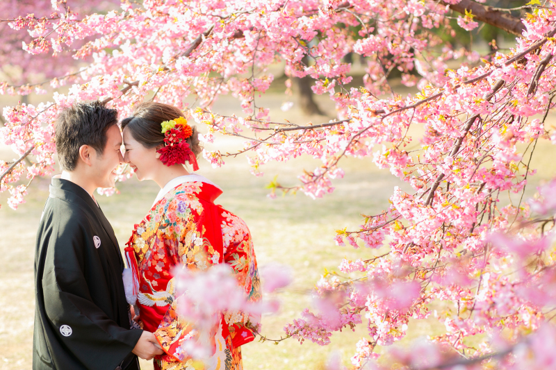 河津桜で、、、