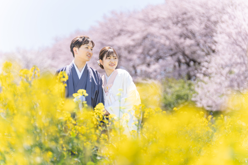 フォトウェディングなら春の河川敷がおすすめ！　桜風景を堪能しよう