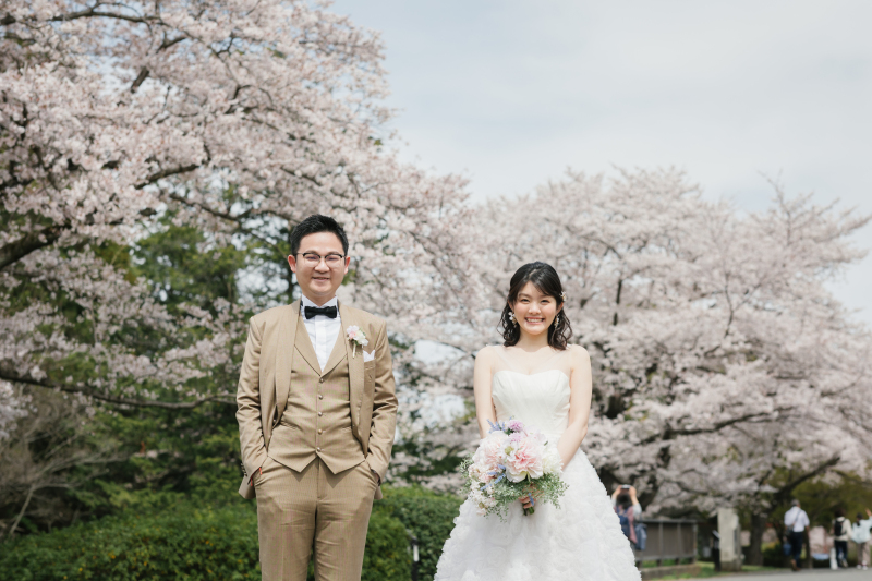 桜撮影、まだご予約可能です!