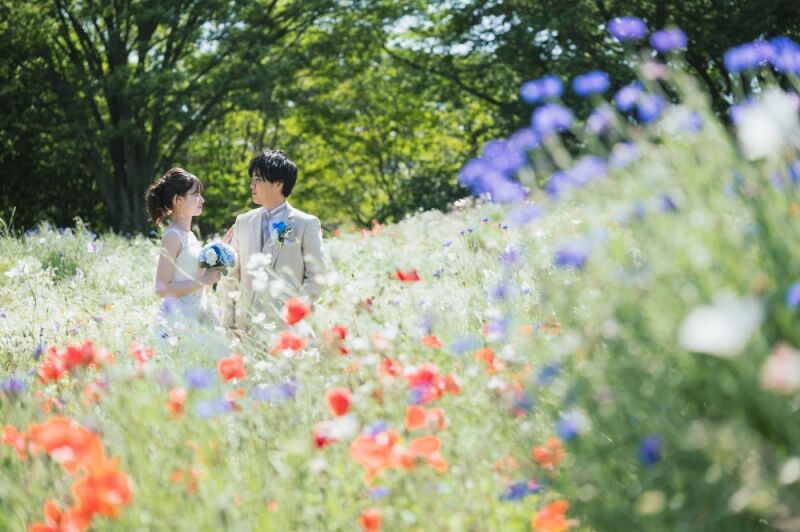 【2026年 新春お年玉フェア】&ldquo;末広がり&rdquo; 最大&yen;88,000分特典