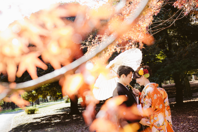 紅葉のシーズンがやってきます!
