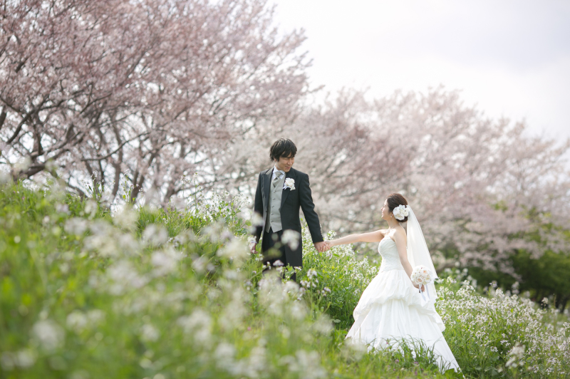 桜フォトウェディング　ご案内スタートしています！