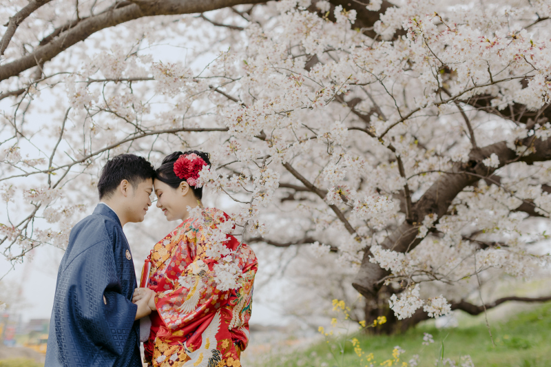 桜撮影、まだご予約可能です!