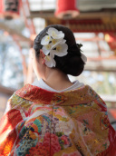 ヘアスタイルのご紹介