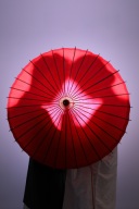 ☆シルエットショット☆