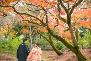 カメラマン撮影日誌068回目（和装ロケーション撮影・円山公園）