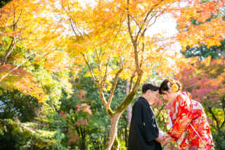 カメラマン撮影日誌040回目(和装ロケーション撮影・円山公園)